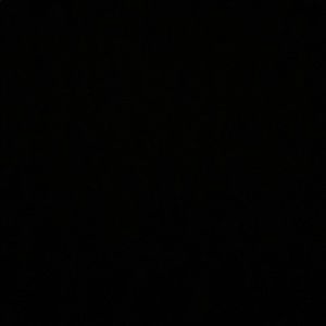 Meet your Posher, Shay